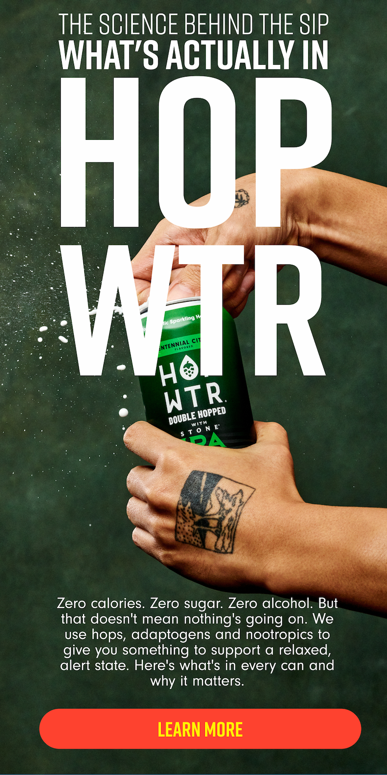 Zero calories. Zero sugar. Zero alcohol. But that doesn't mean nothing's going on. We use hops, adaptogens and nootropics to give you something to support a relaxed, alert state. Here's what's in every can and why it matters. LEARN MORE