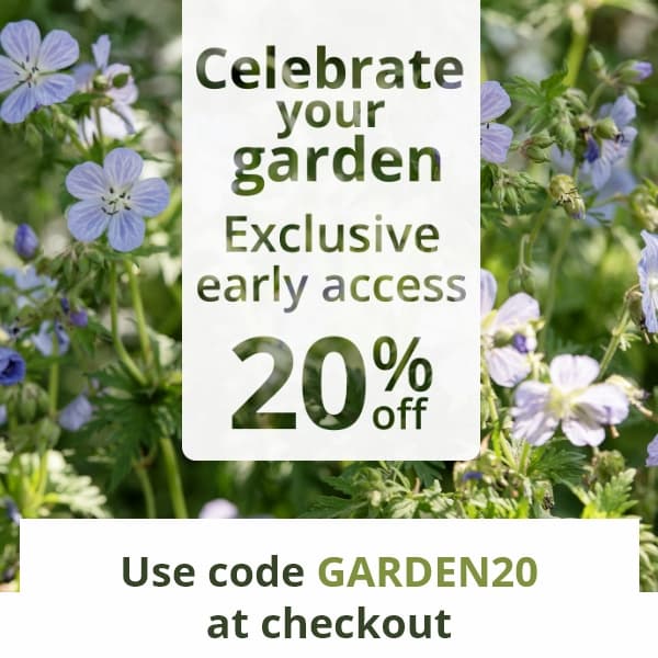  Celebrate Chelsea 20% off