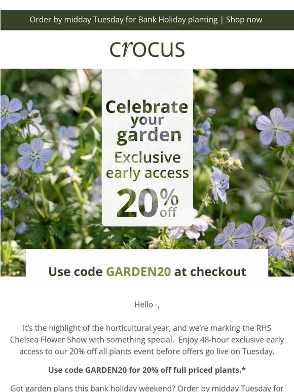 Your exclusive offer: 20% OFF plants 💚