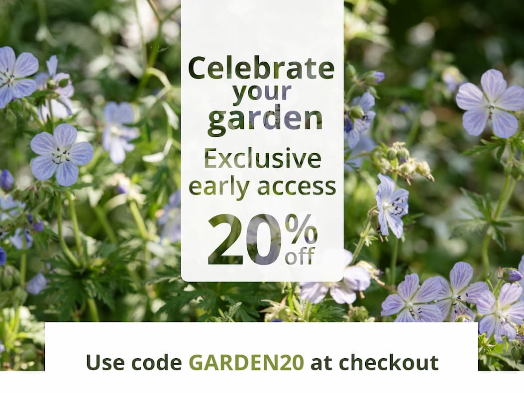  Celebrate Chelsea 20% off