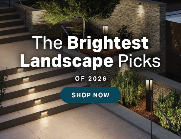 The Brightest Landscape Picks of 2026