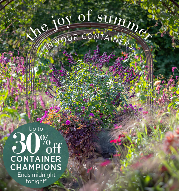 The joy of summer in your containers. Up to 30% off Container Champions. Ends midnight tonight*