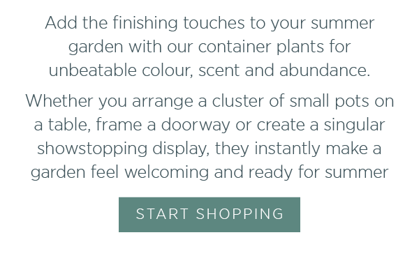 Add finishing touches to your summer garden with our container plants for unbeatable colour, scent and abundance. Whether you arrange a cluster of small pots on a table, frame a doorway or create a singular showstopping display, they instantly make a garden feel welcoming and ready for summer.