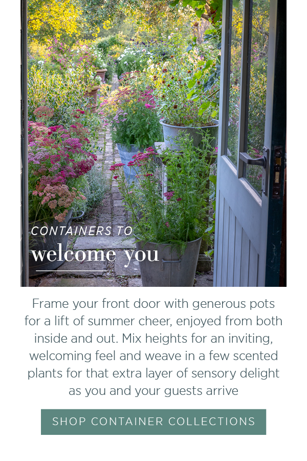 Containers to welcome you. Frame your front door with generous pots for a lift of summer cheer, enjoyed from both inside and out. Mix heights for an inviting, welcoming feel and weave in a few scented 
