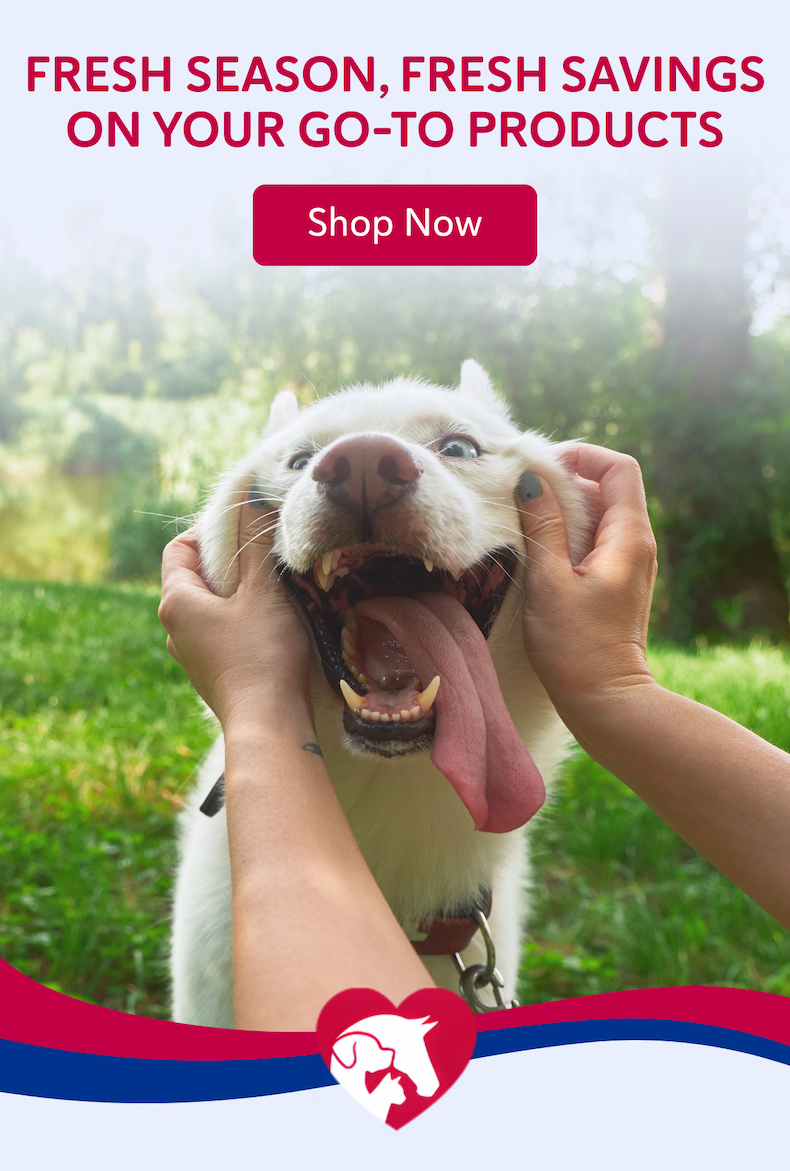 Fresh season, fresh savings on your go-to products