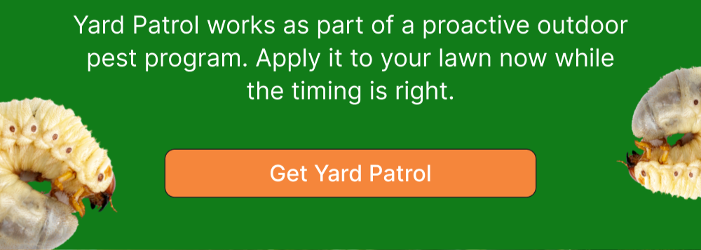Get Yard Patrol