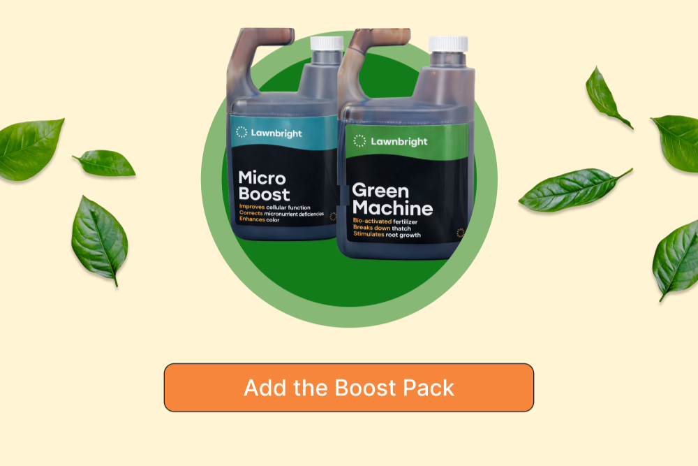 Add the Boost Pack