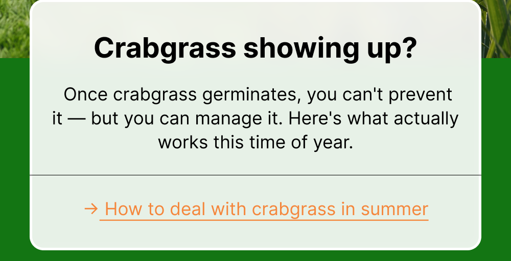 → How to deal with crabgrass in summer