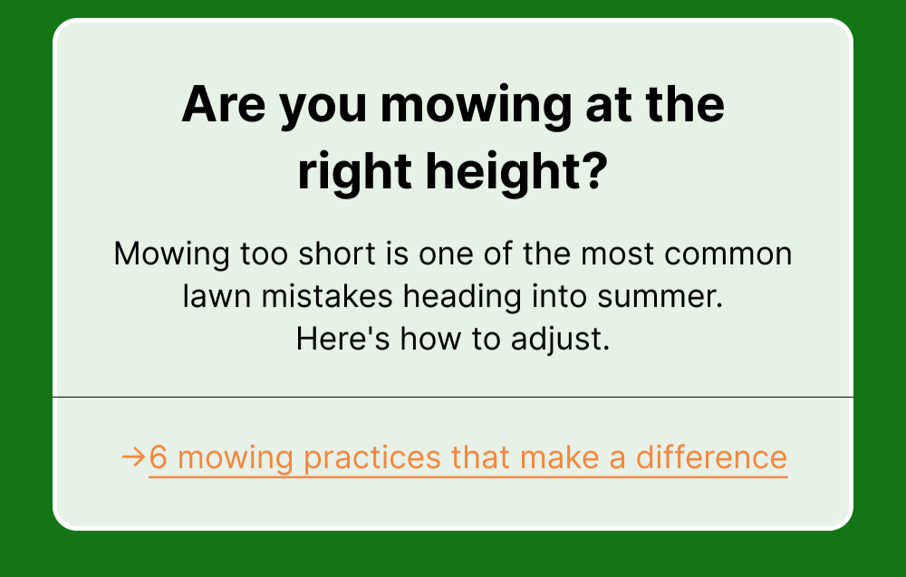 →6 mowing practices that make a difference