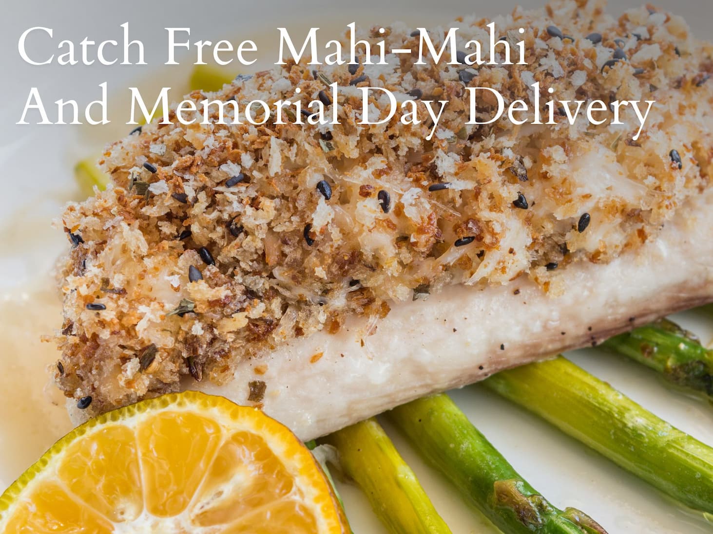 FREE Mahi