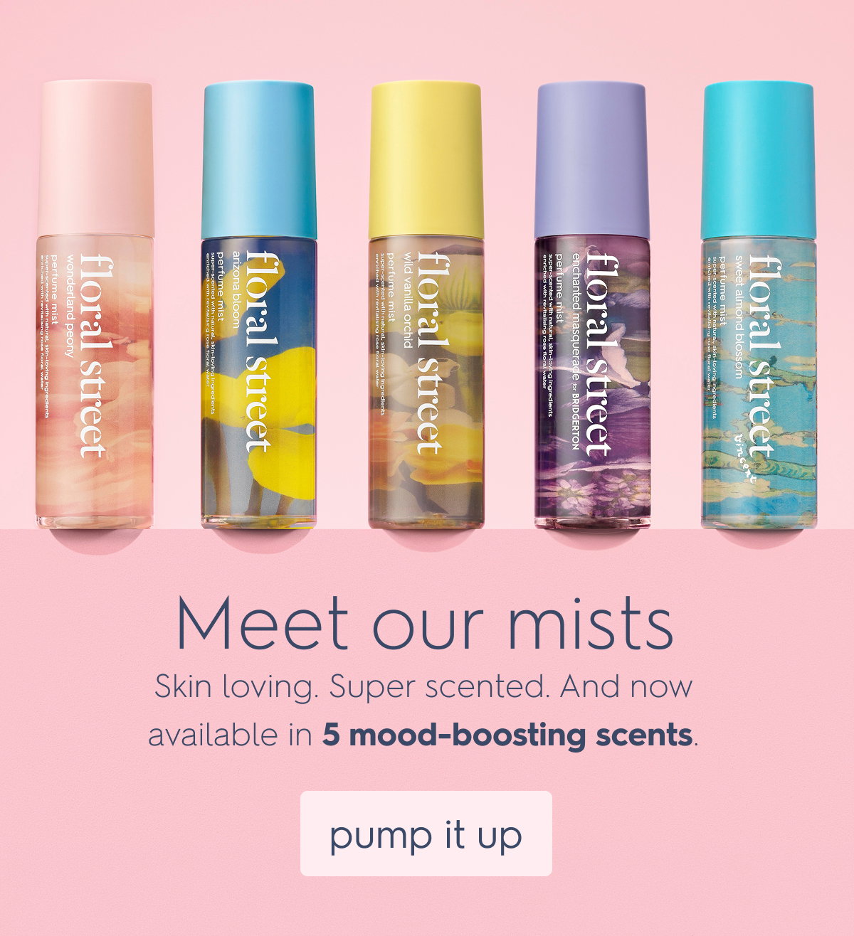Meet our mists 