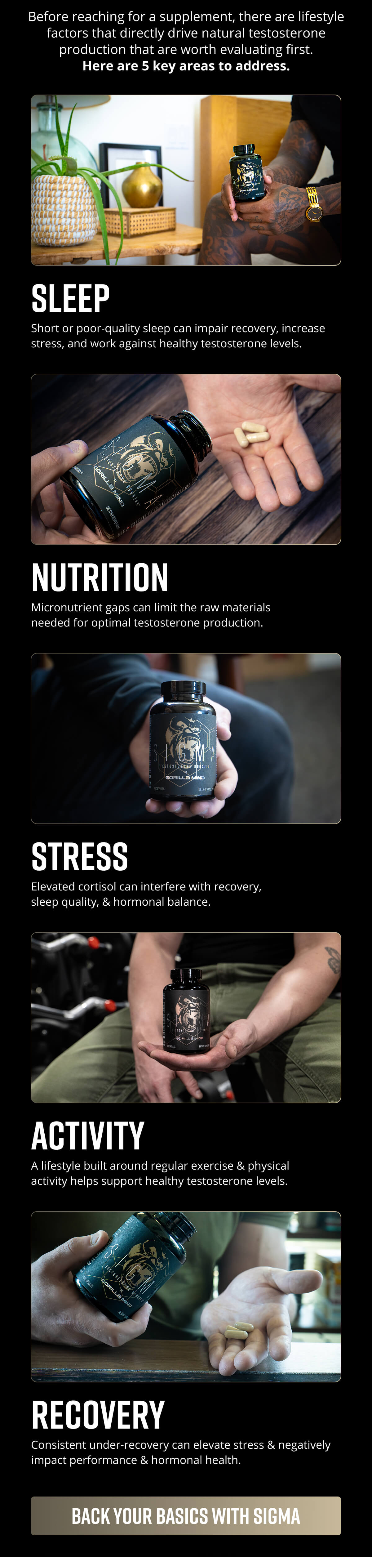 Back Your Basics With Sigma - Gorilla Mind