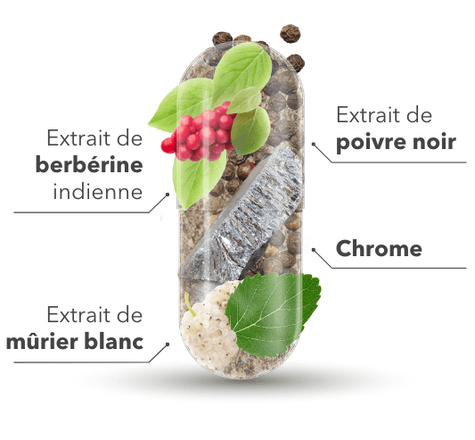 Metabolux