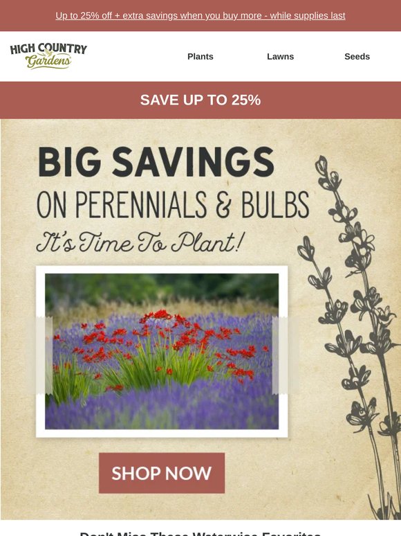 Don't Miss Out: Waterwise Perennials Up To 25% Off