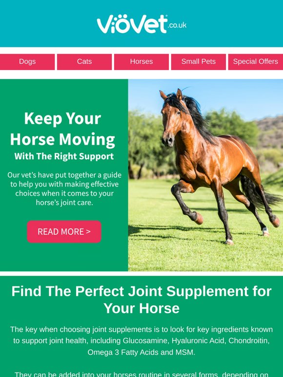 Keep your horse moving with the right support 🐎