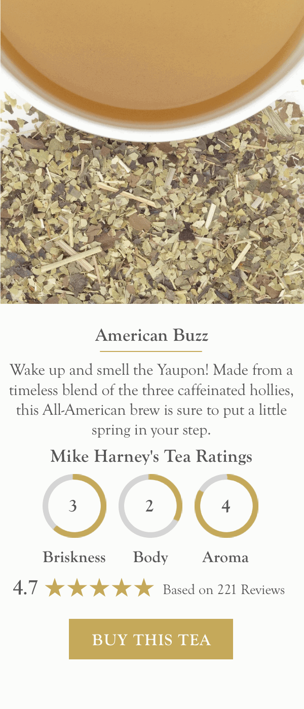 American Buzz