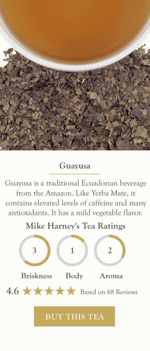 Guayusa