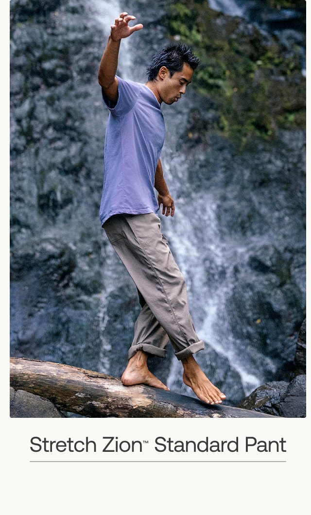 stretch zion standard pant