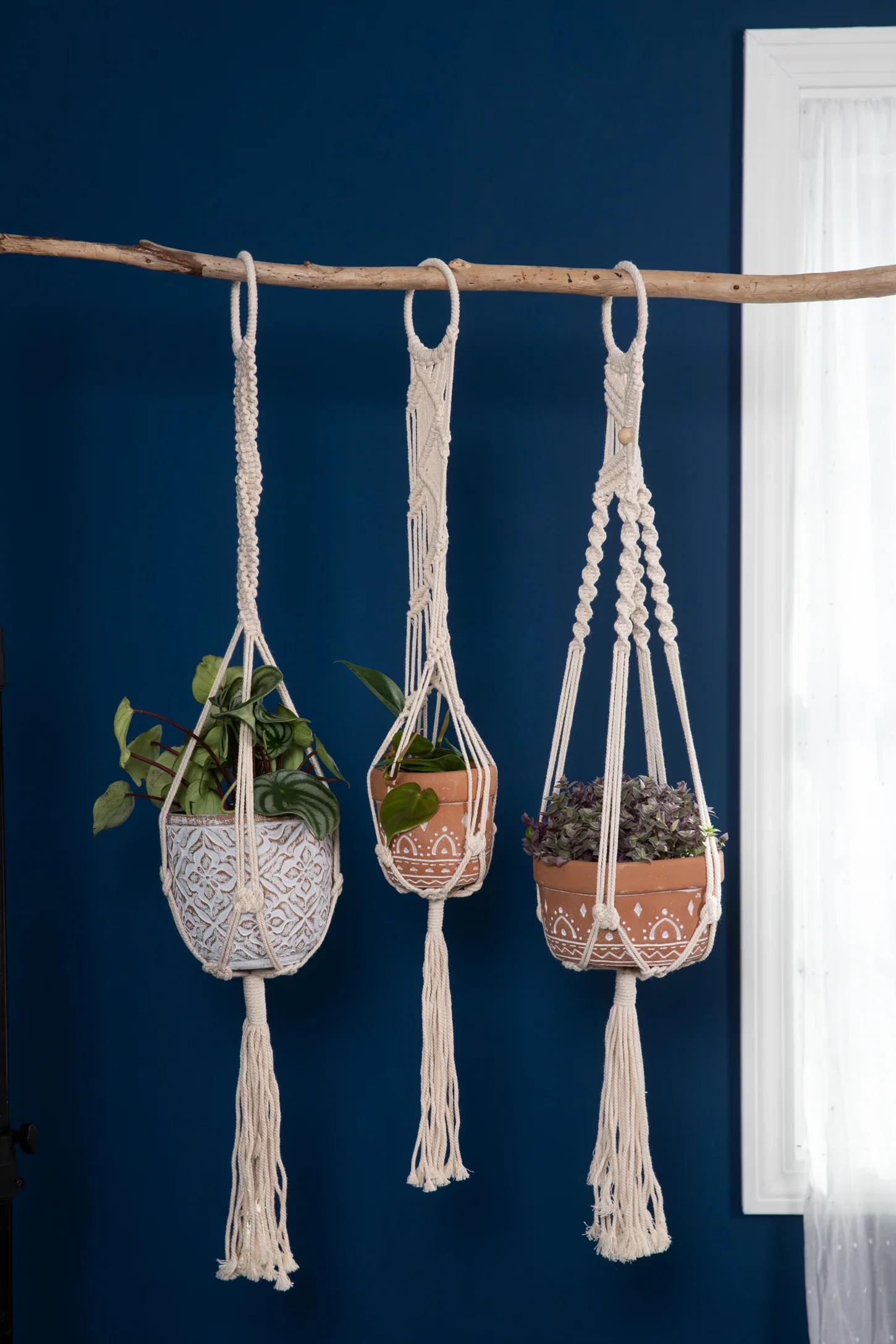 Image of Crochet Single Plant Hanger