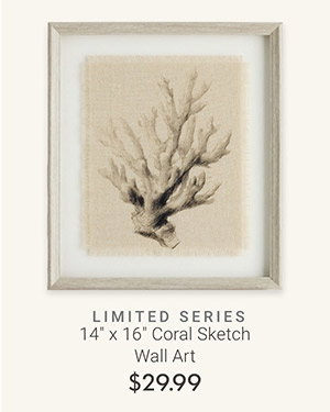 14" x 16" Coral Sketch Wall Art