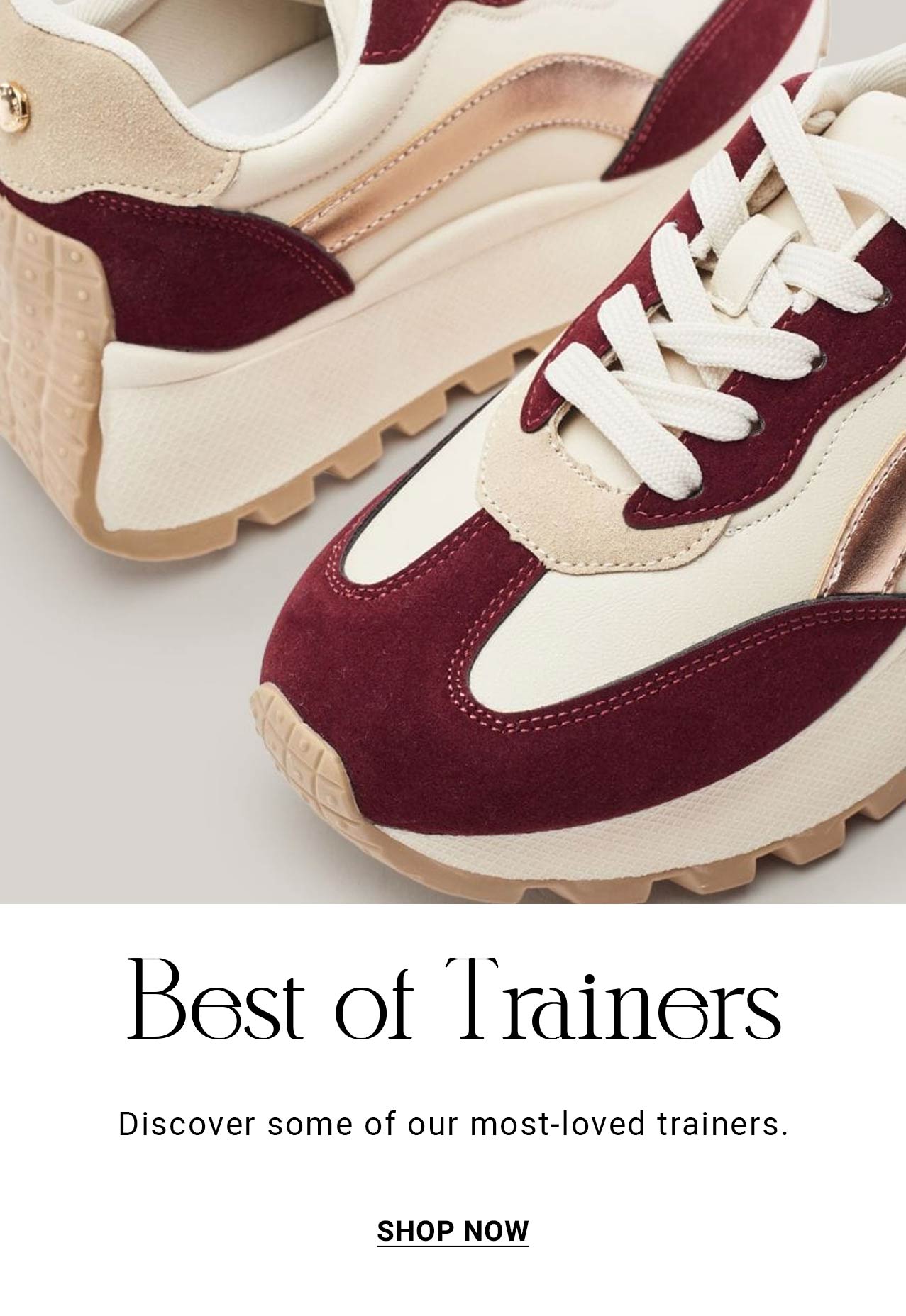 Best of Trainers