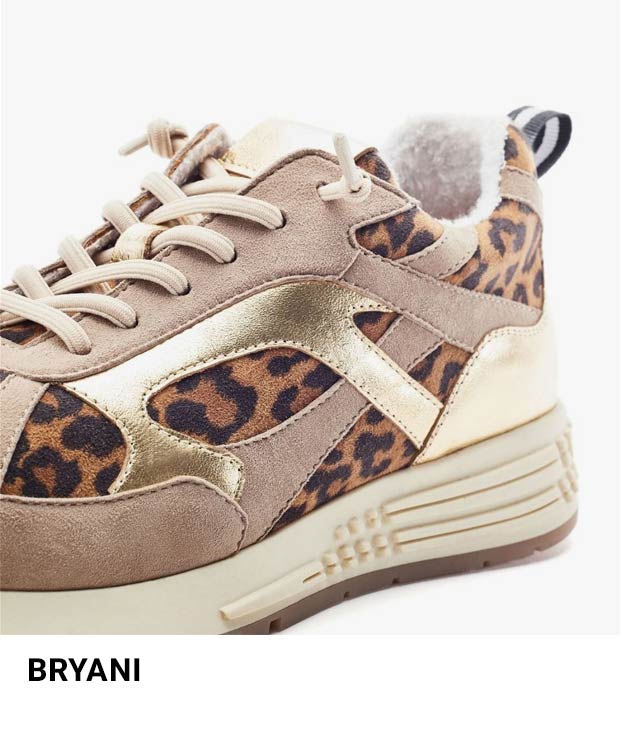 Bryani