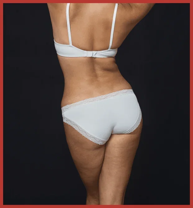 Berlei Marais Briefs
