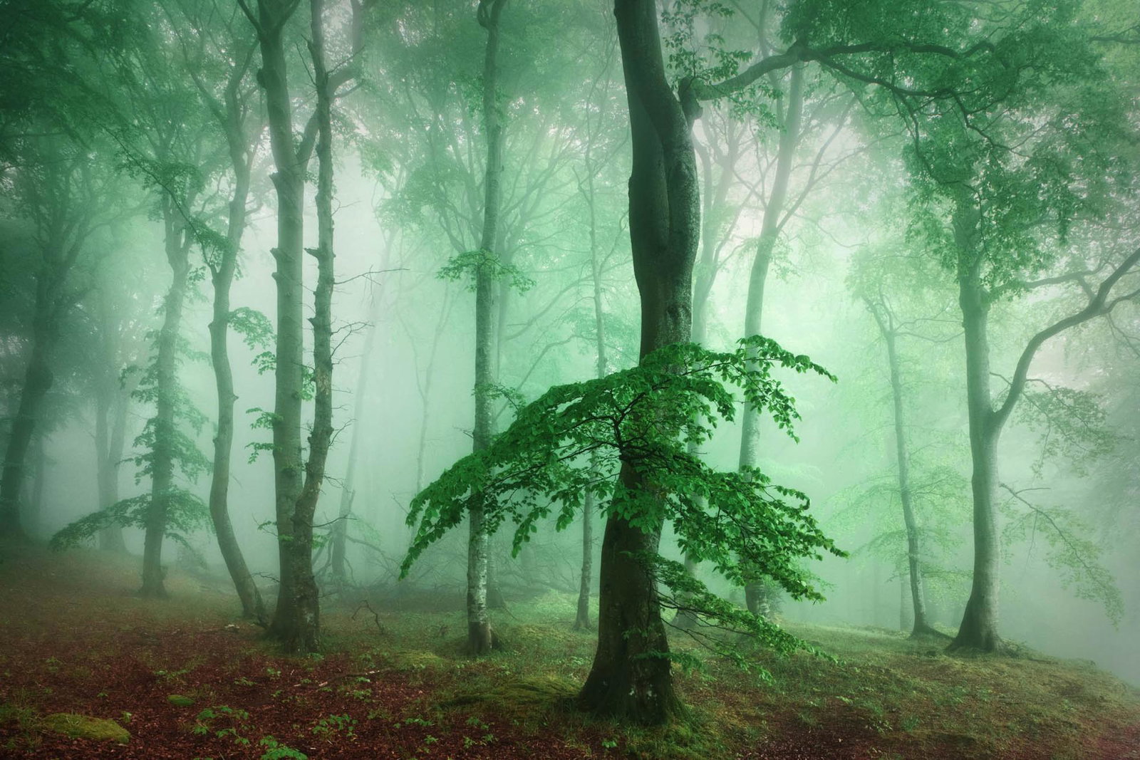 Top 10 Photo Spots in Germany
