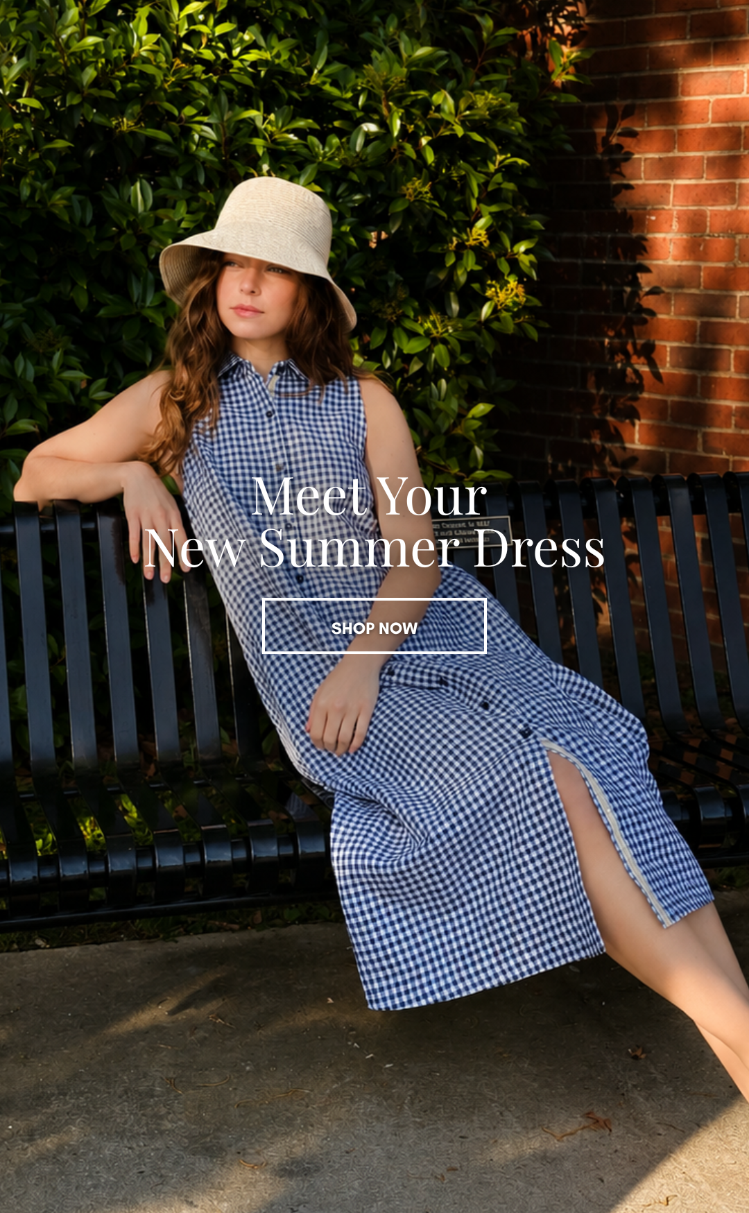 meet your new summer dress