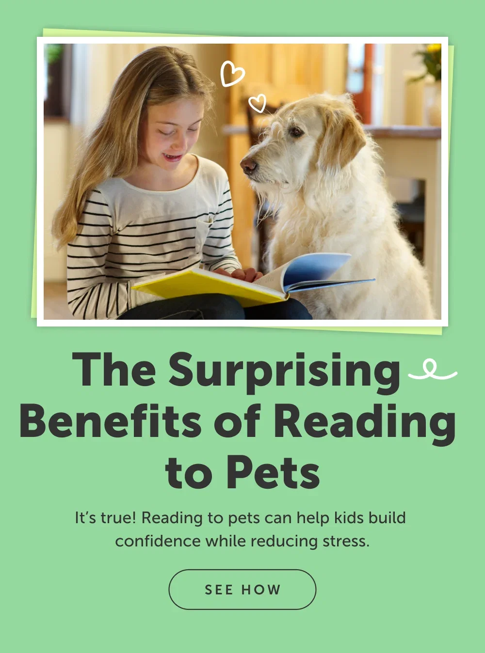 The Surprising Benefits of Reading to Pets