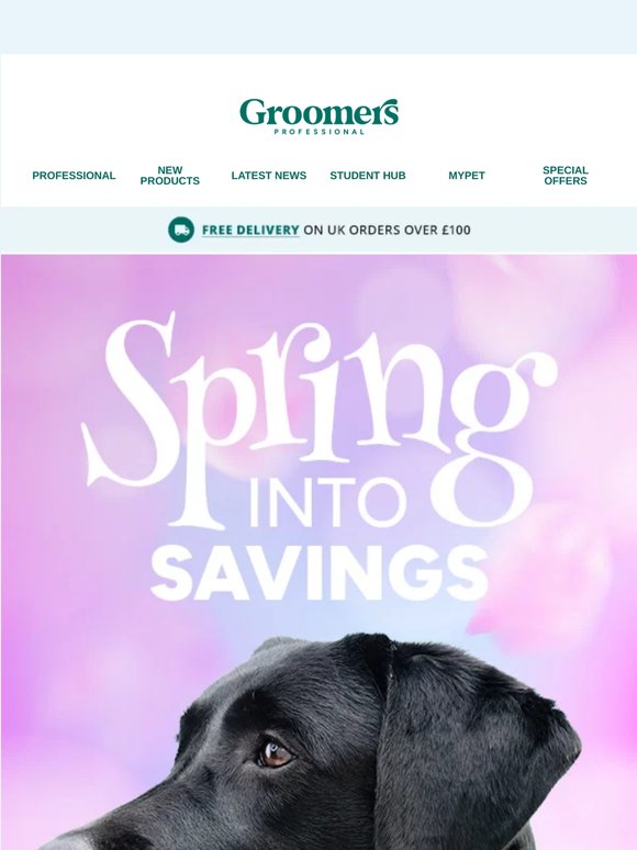 Spring Into Savings 🌷