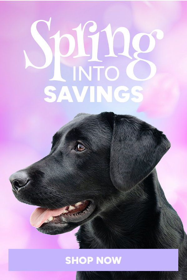 Spring into  Savings