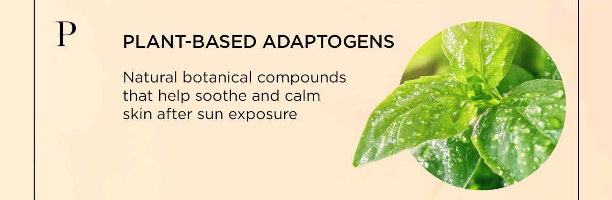 Plant Based Adaptogens
