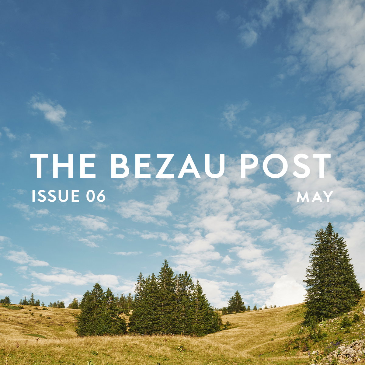 The Bezau Post Issue 6
