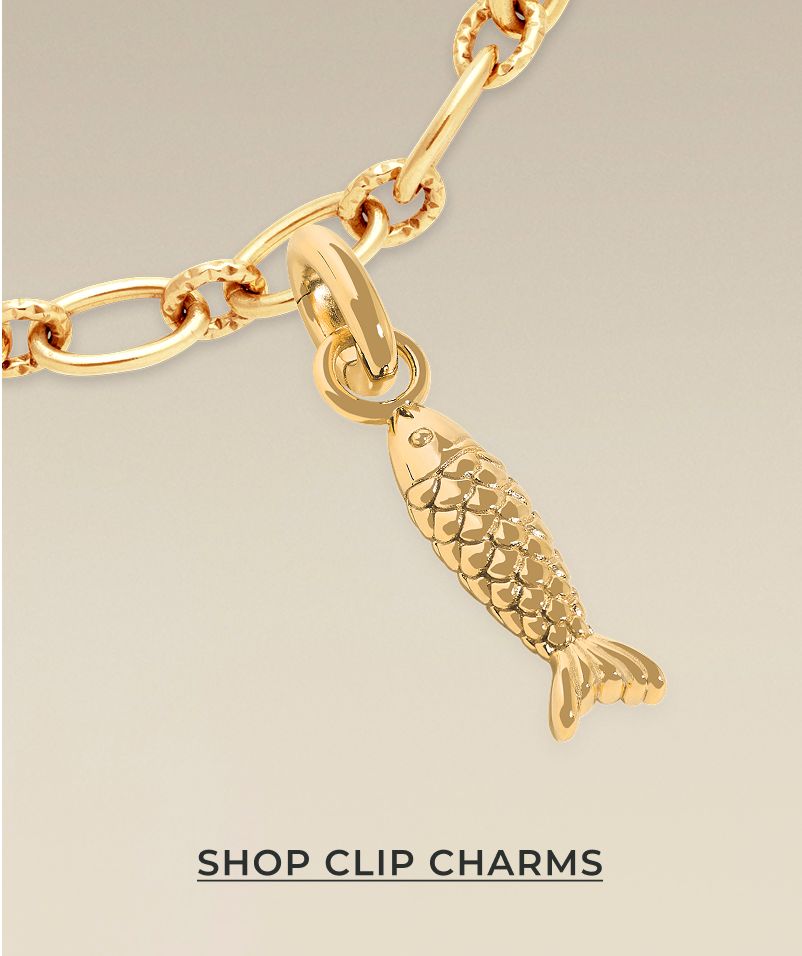 Shop Clip Charms