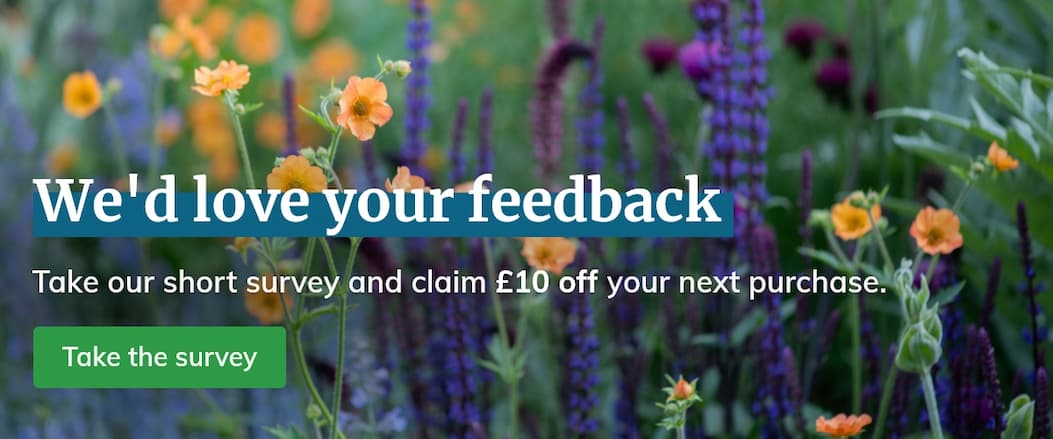 we'd love your feedback