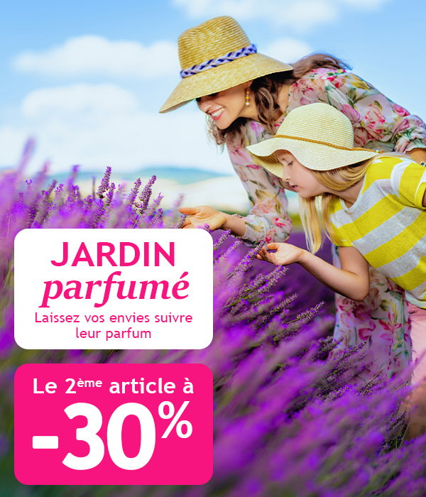 Jardin parfumé : la 2ème plante a -30% !