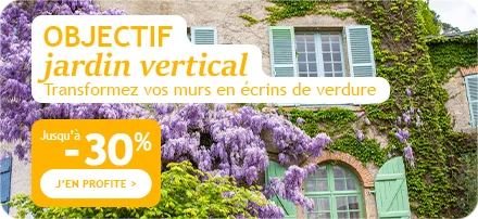 Objectif jardin vertical : jusqu'à -30%