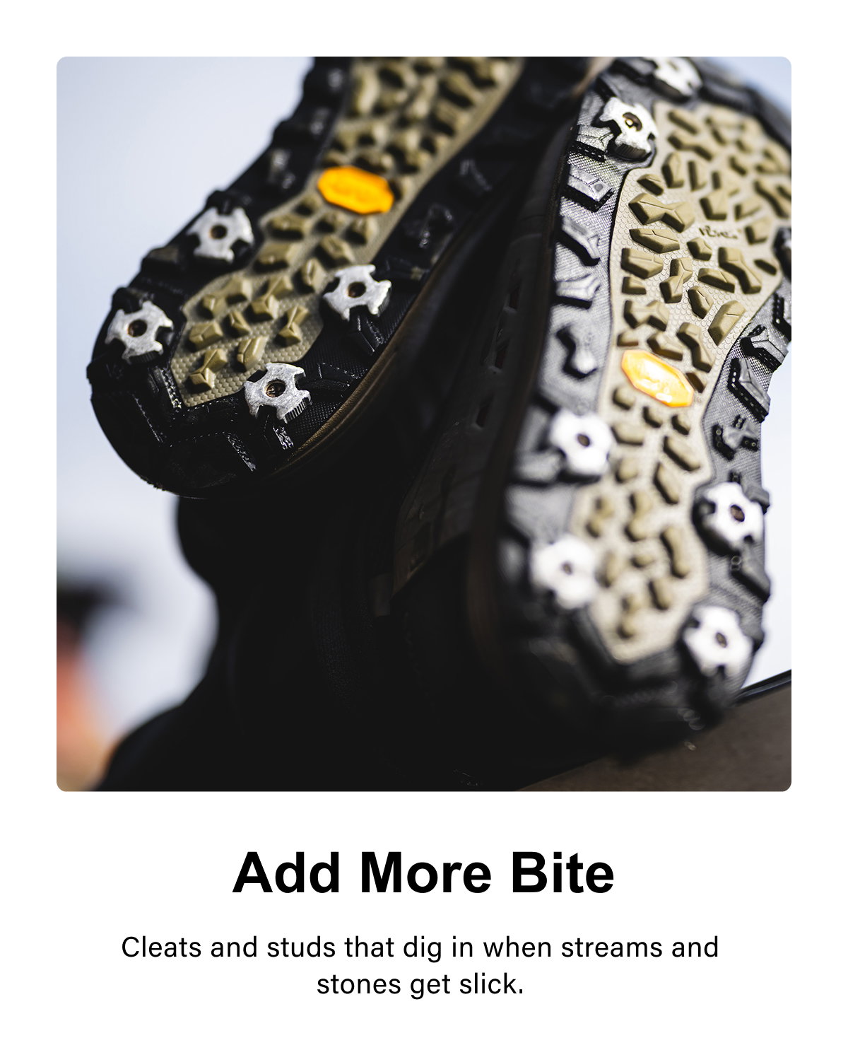 Add More Bite