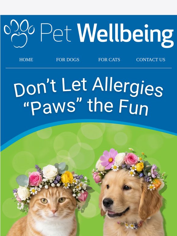 Ending Tonight: Save Up to 20% for Your Pet