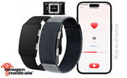 Image Article