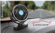 Image Article