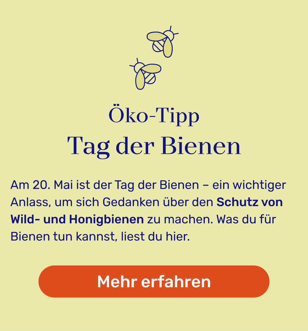 Öko Tipp Tag der Bienen: Am 20. Mai ist der Tag der Bienen – ein wichtiger Anlass, um sich Gedanken über den Schutz von Wild- und Honigbienen zu machen. Was du für Bienen tun kannst, liest du hier. 