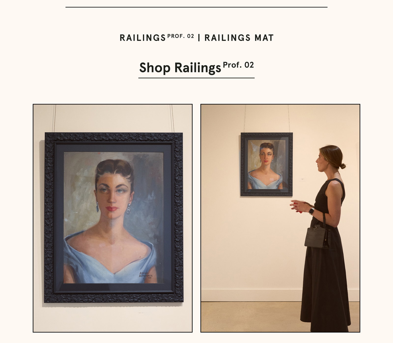 Shop Railings Prof. 02