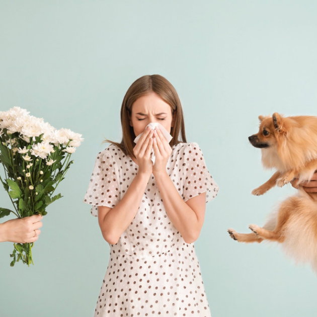 Allergies at Night: How Can they Affect Sleep?