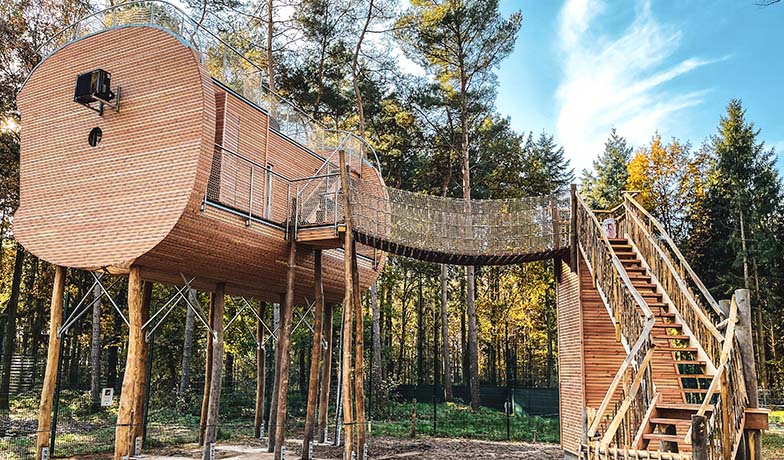 Ein Baumhaus ist abgebildet.