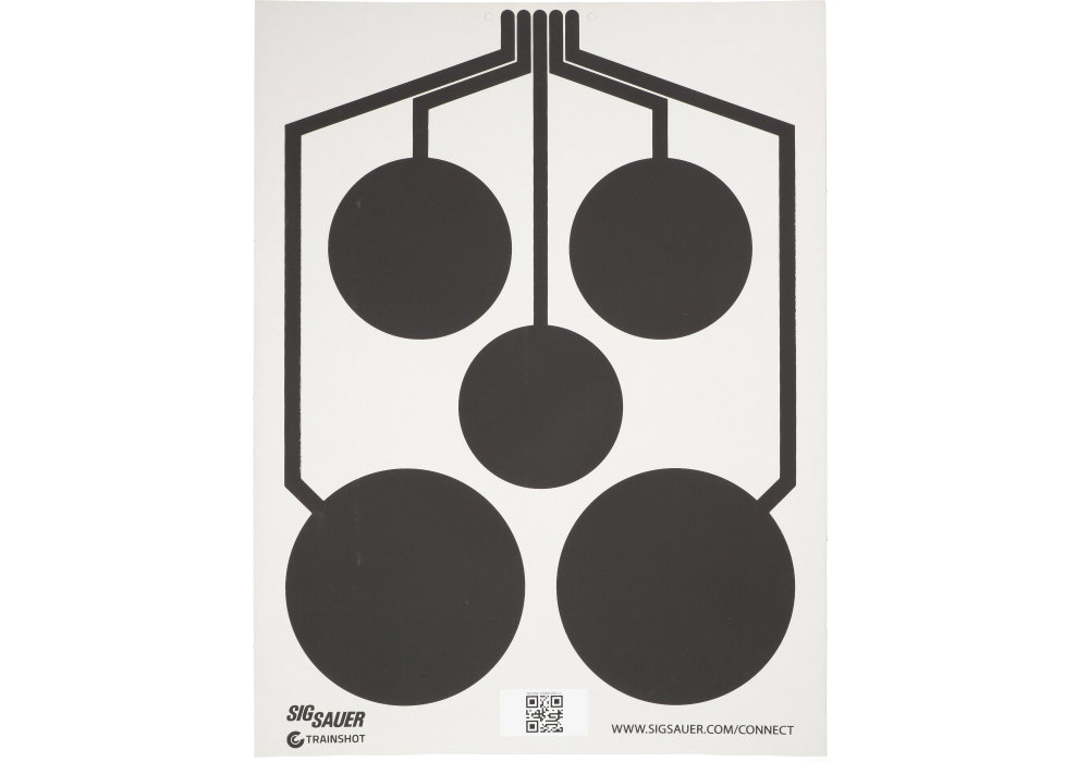 Image of T300 (MULTI ZONE) TARGETS 5 PACK