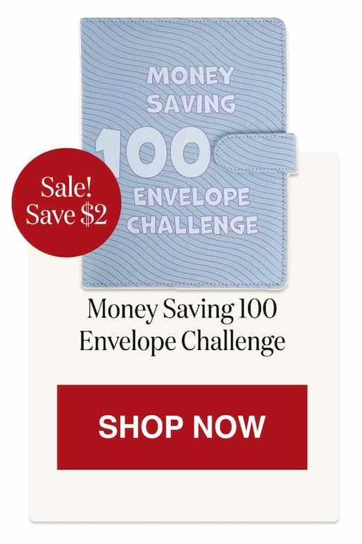 Money Saving 100-Envelope Challenge [Click here to Shop Now]