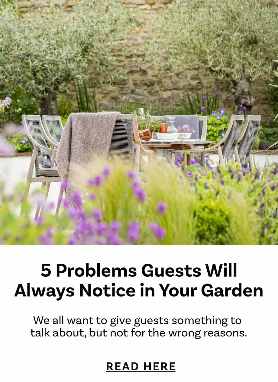 5 Problems Guests Will Always Notice in Your Garden