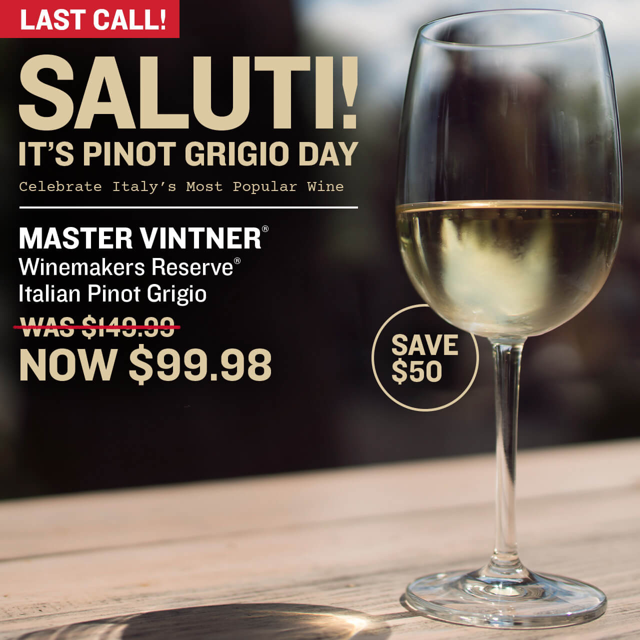 Last Call! Saluti! It’s Pinot Grigio Day. Celebrate Italy’s Most Popular Wine. Save $50 on Master Vintner® Winemaker's Reserve® Italian Pinot Grigio Wine Kit. Now $99.98 over an image of a glass of Pinot Grigio outside on a sunny day.